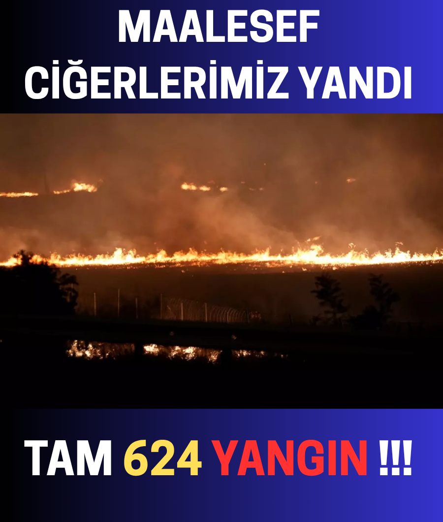 CİĞERLERİMİZ YANDI...