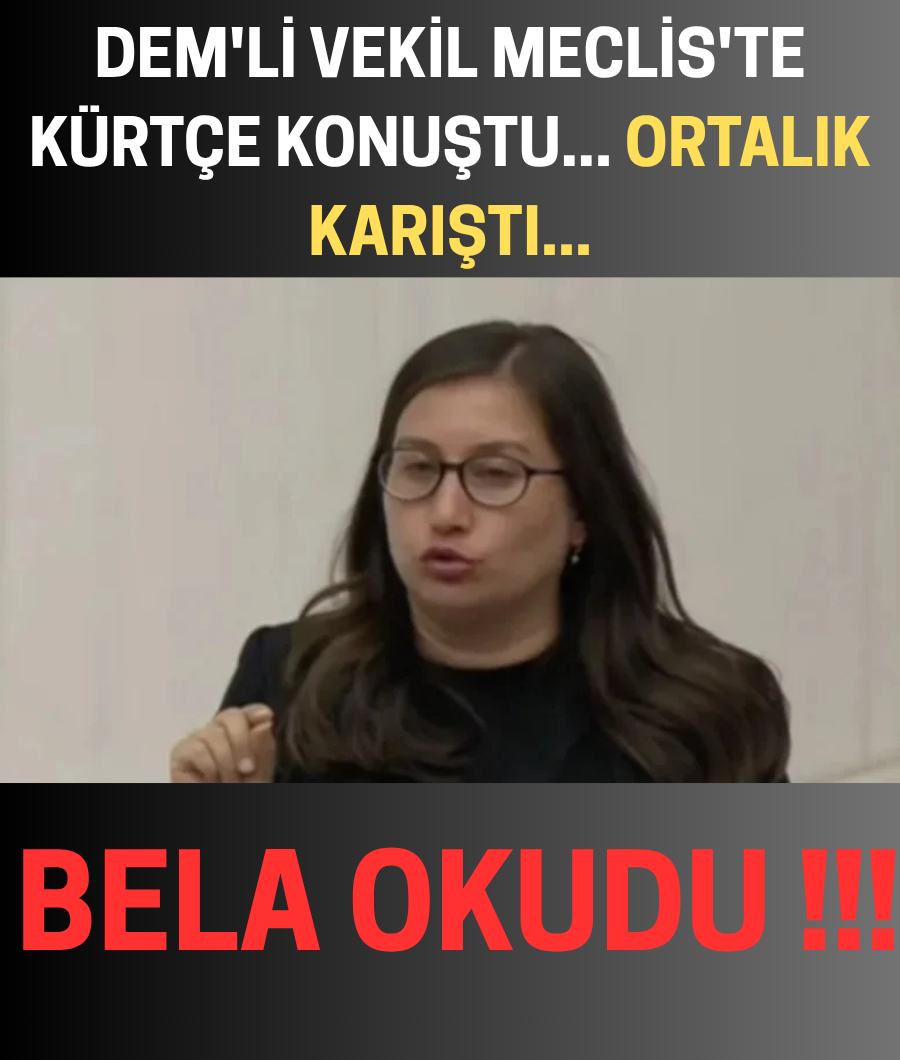 DEM'Lİ VEKİL MECLİS'TE KÜRTÇE KONUŞTU...