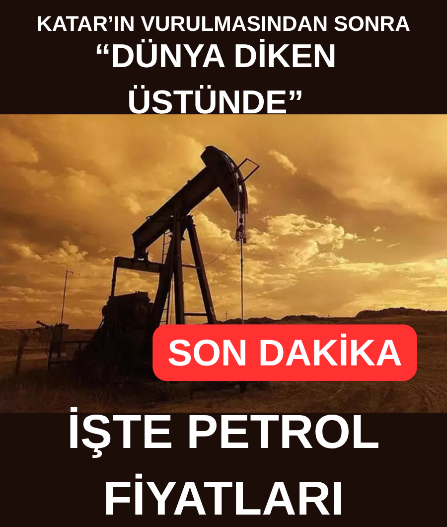 DÜNYA DİKEN ÜSTÜNDE …